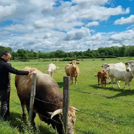 Paisible, Animaux Admis - 4 Pers. * Boisset-les-Montrond
