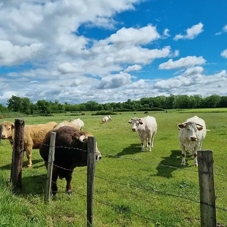 Paisible, Animaux Admis - 4 Pers. Country house